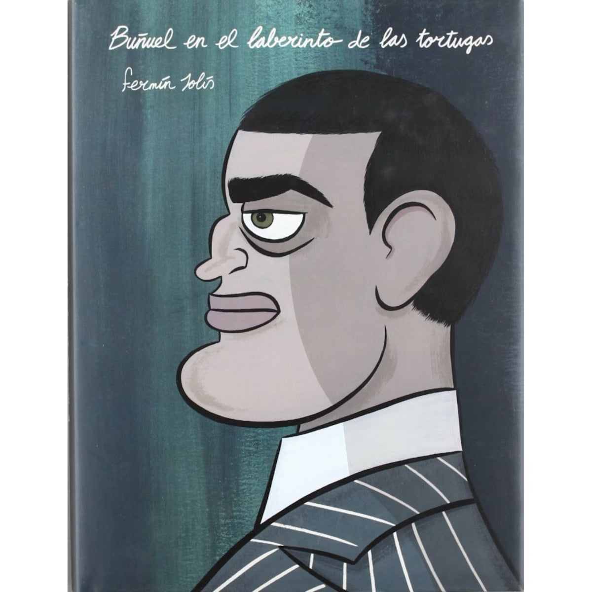 Buñuel en el laberinto de las tortugas