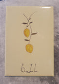 Imán "Limones"